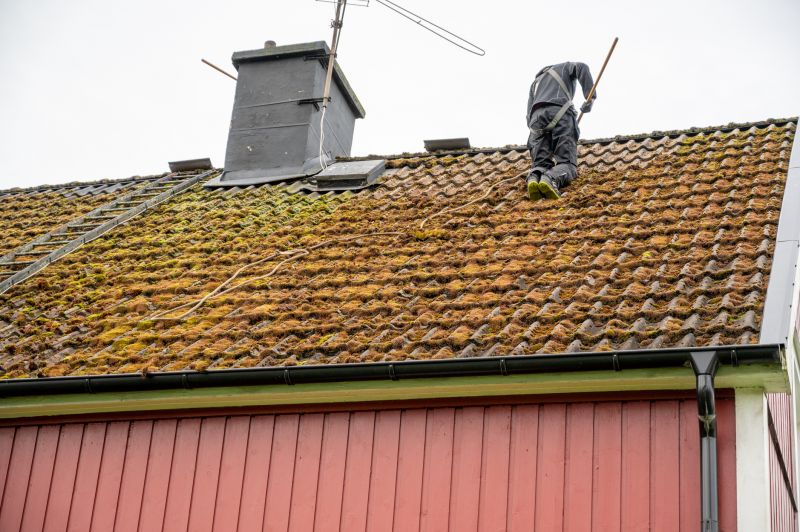 Moss Removal