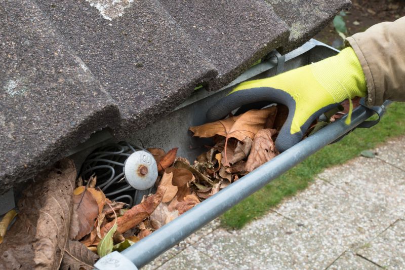 Commercial Gutter Cleaning in Denver, CO