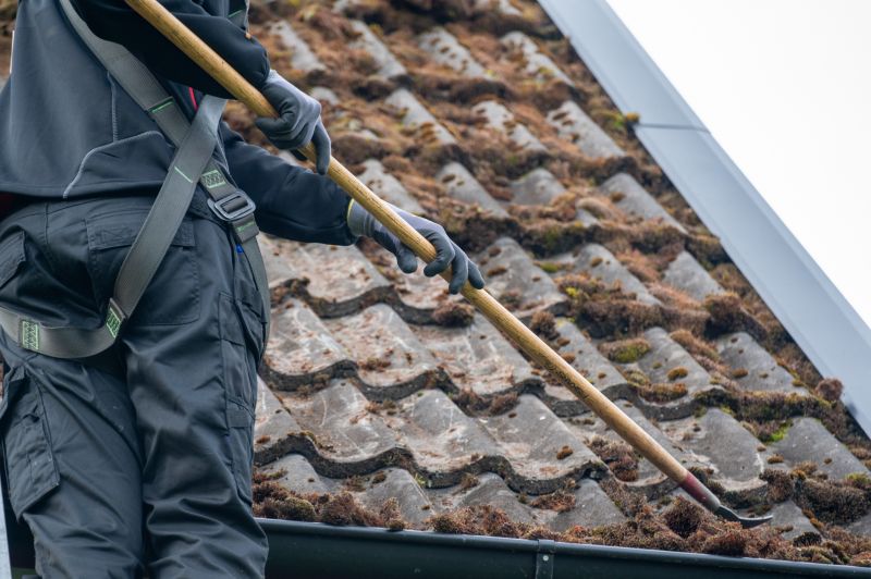 Cost of Moss Removal — Cost of Moss Removal