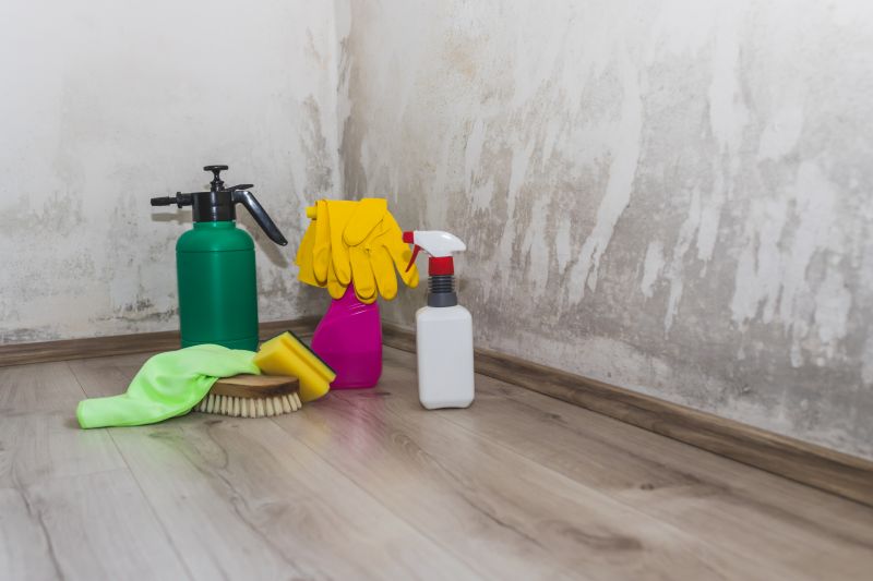 Cost of Moss Removal — Cost of Moss Removal