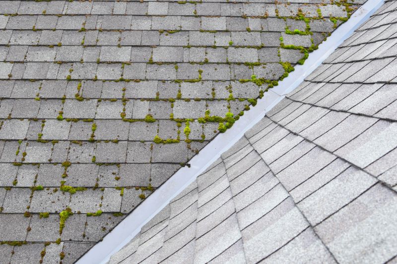 Cost of Moss Removal — Cost of Moss Removal