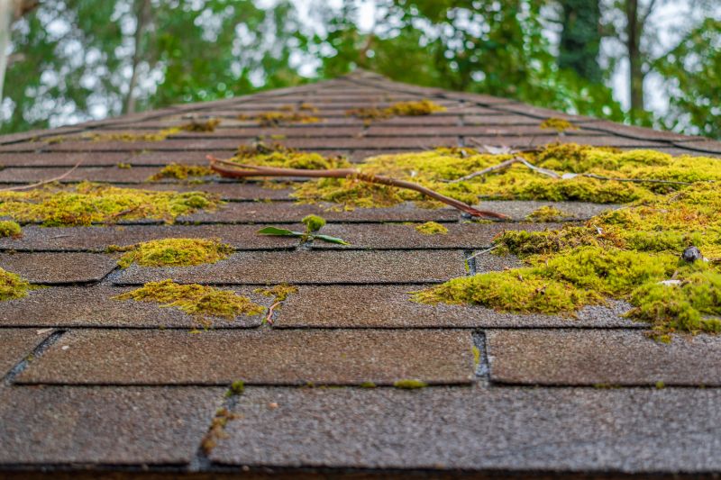 Cost of Moss Removal — Cost of Moss Removal