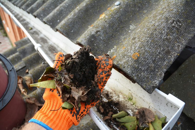 Gutter Cleaning in Monmouth County, NJ