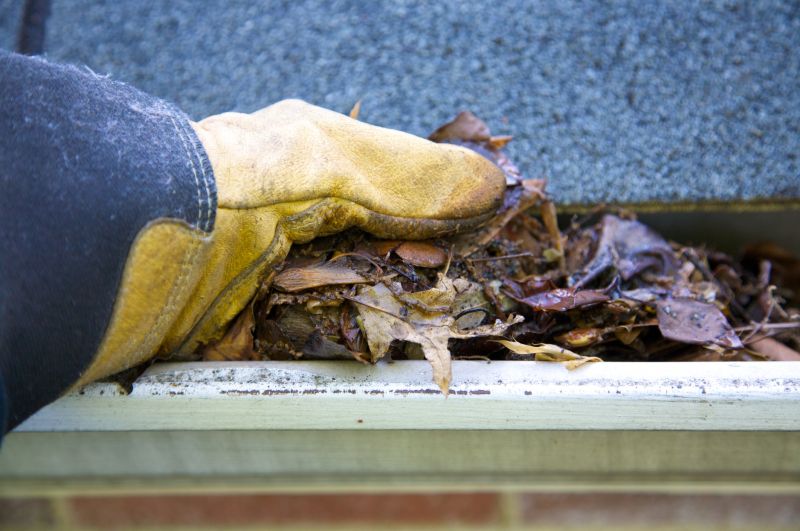 Gutter Cleaning in Long Island, NY