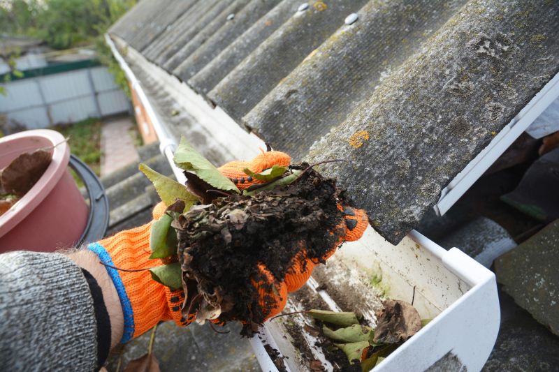 Gutter Cleaning in Arvada, CO