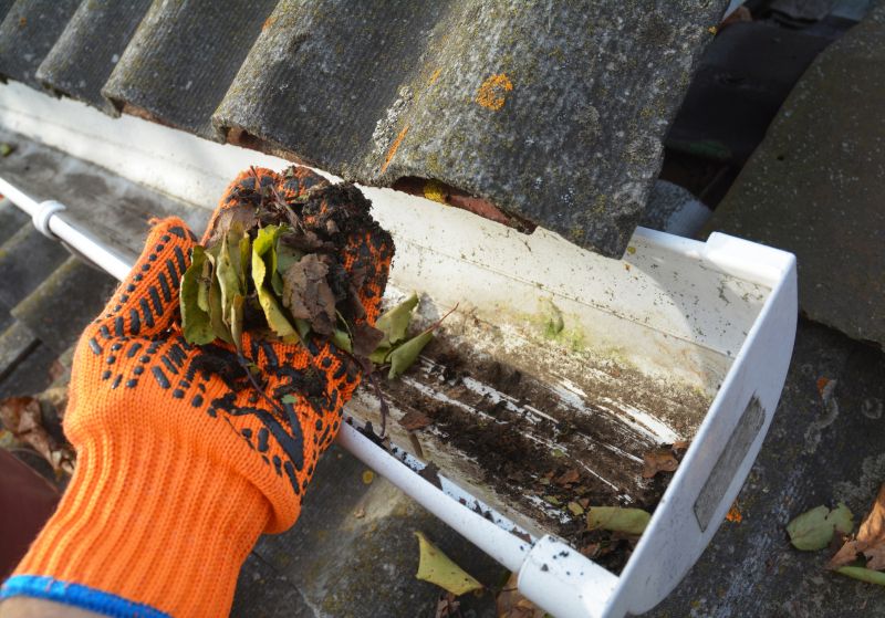 Gutter Leaf Clearing in Baltimore, MD