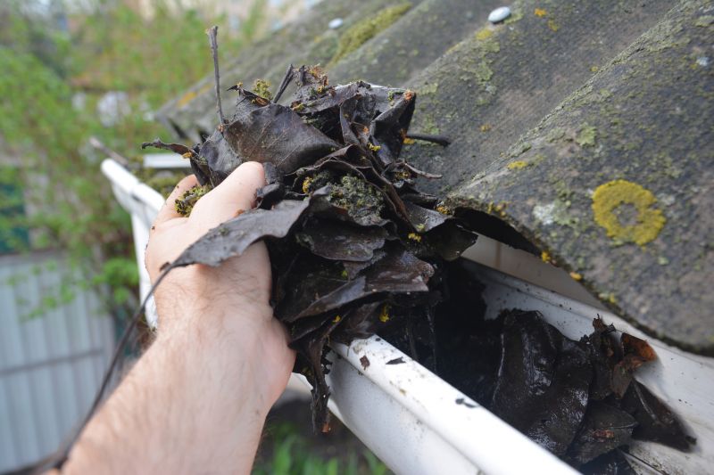 Gutter Leaves Removal in Westchester County, NY