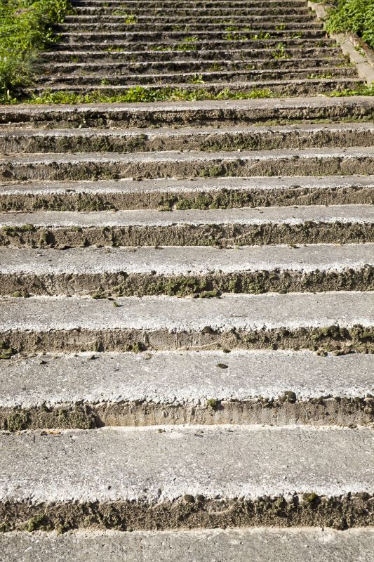 Cleaning Tools for Moss