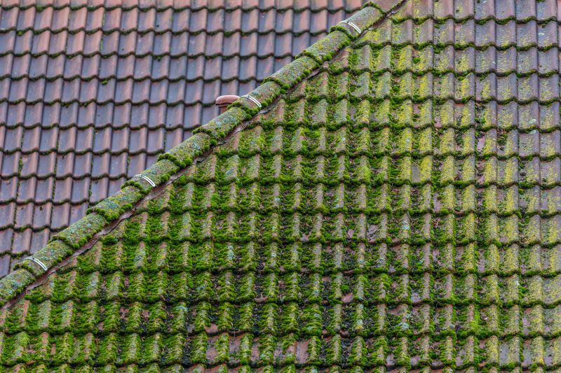 Moss on Roofs