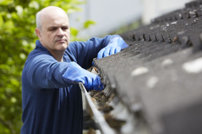 Roof Gutter Cleaning in Monmouth County, NJ