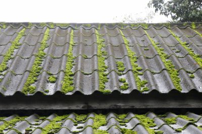 Remove Moss From a Roof!